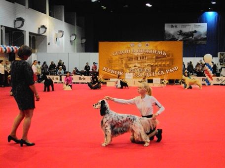 Кандидаты в Чемпионы Юным кинологам вручили медали Международной выставки собак