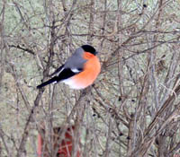 (2843) ����� �������