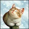 IRIN@